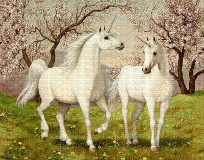 unicorn bp - Δωρεάν κινούμενο GIF