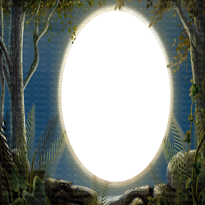 forest night frame FORÊT NUIT Cadre - 無料png