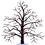tree-1-NitsaPap - Animovaný GIF zadarmo