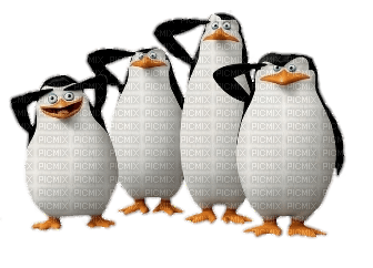 pingwiny z madagaskaru - δωρεάν png
