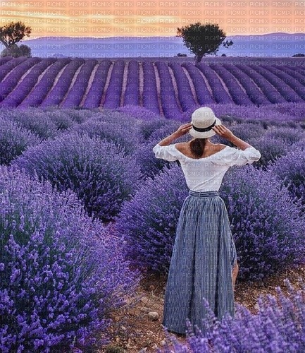Provence - Free PNG