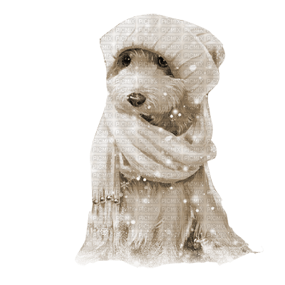 kikkapink winter sepia dog - gratis png