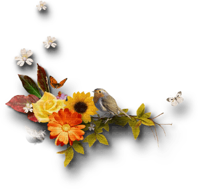 automne fleurs deco autumn - ingyenes png