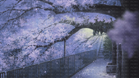 Cherry Blossom Path - 無料のアニメーション GIF