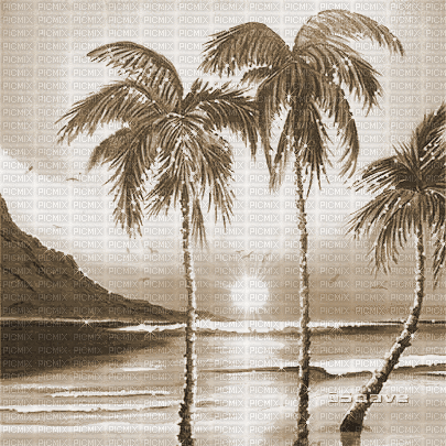 soave background animated summer tropical beach - GIF animate gratis