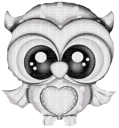 owl - Δωρεάν κινούμενο GIF