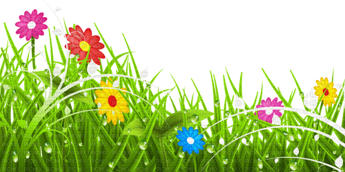 Y.A.M._Summer Flowers Decor - δωρεάν png