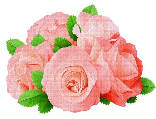Y.A.M._Flowers bouquets - PNG gratuit