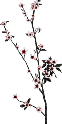 fleurs - kostenlos png