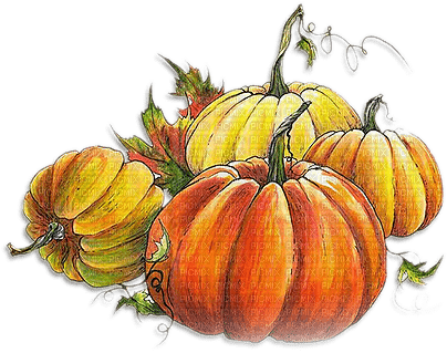soave deco autumn pumpkin thanksgiving vintage - PNG gratuit