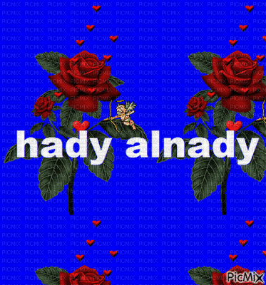 hady alnady - Ilmainen animoitu GIF