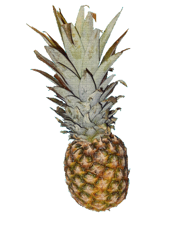 spinning pineapple - Darmowy animowany GIF