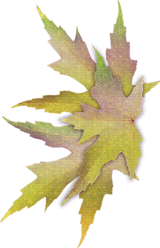 Autumn.Leaves.Feuilles.Automne.Victoriabea - 無料png