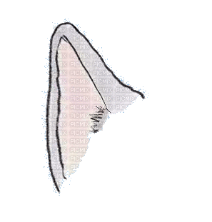 nbl-ear - Bezmaksas animēts GIF