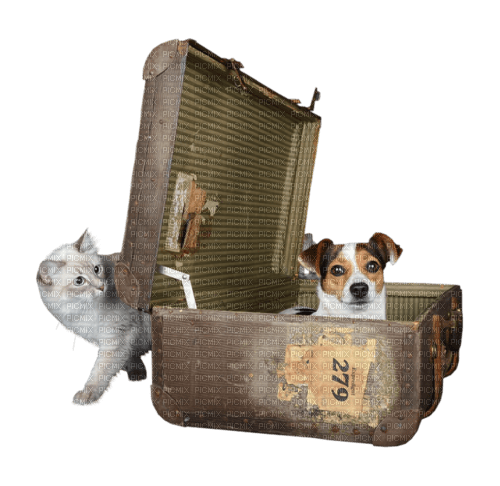 Valise.Suitcase.Cat.Dog.Victoriabea - 免费PNG