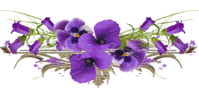 cecily-deco fleurs - PNG gratuit