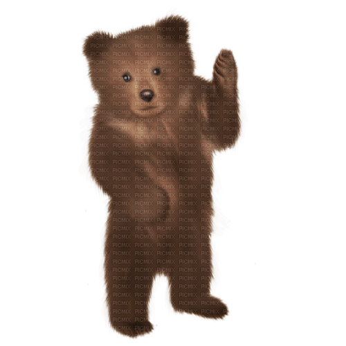 dolceluna autumn spring bear brown - 免费PNG