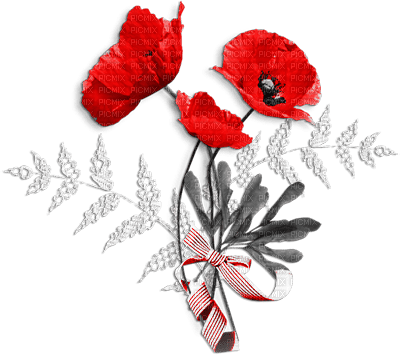 soave deco poppy branch spring flowers  black - Free PNG