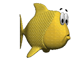 fish - Zdarma animovaný GIF