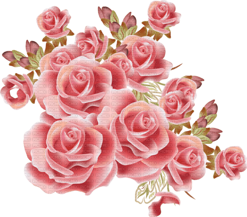 Pink Roses - ingyenes png
