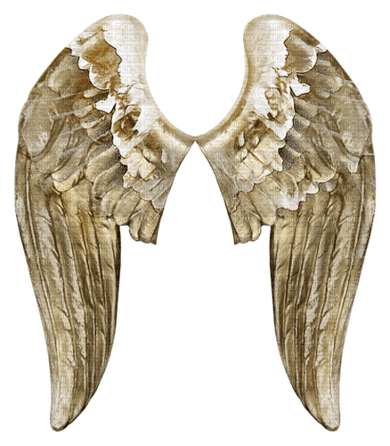 golden angel wings - Free PNG