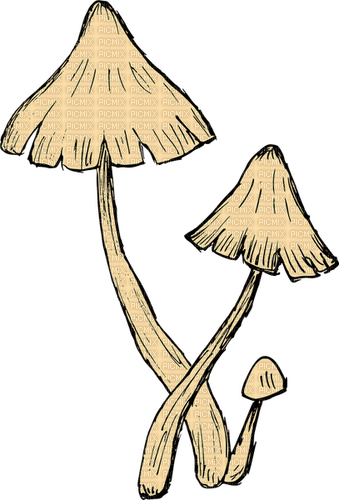mushrooms - фрее пнг
