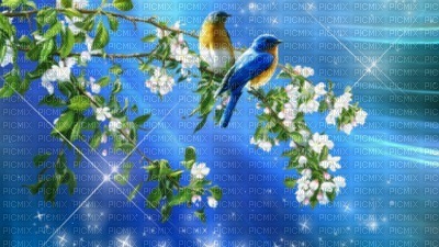 Kaz_Creations Backgrounds Background Flowers Birds - 無料png