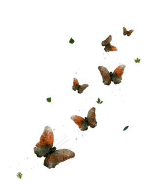 papillon - png ฟรี