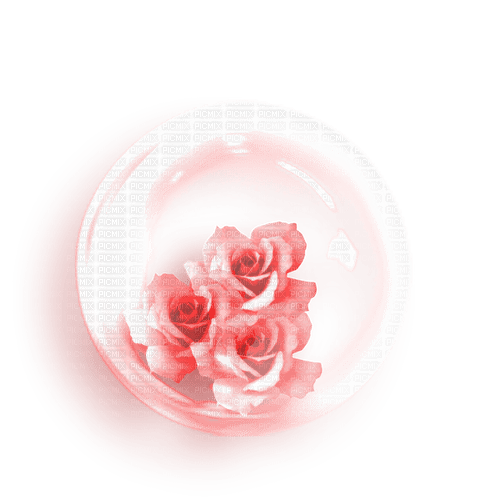 Roses.Red - Free PNG