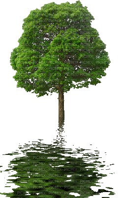 Drzewo1 - GIF animate gratis