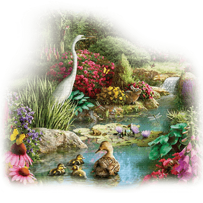 jardin  aves dubravka4 - PNG gratuit