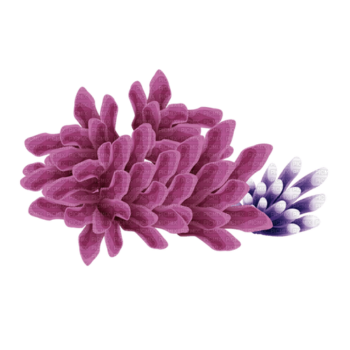 SEABED - zadarmo png