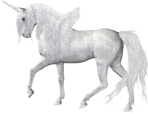 white unicorn fantasy 3 - ingyenes png