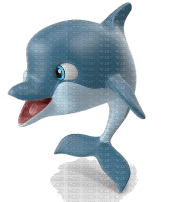 dolphin - PNG gratuit
