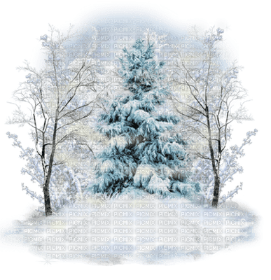 Winter - ücretsiz png