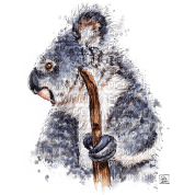 Koalabear - 免费PNG