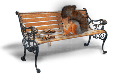 bench katrin - ücretsiz png