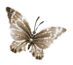 Y.A.M._Fantasy butterfly sepia - Free animated GIF