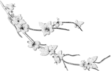 soave deco branch flowers spring black white - ilmainen png