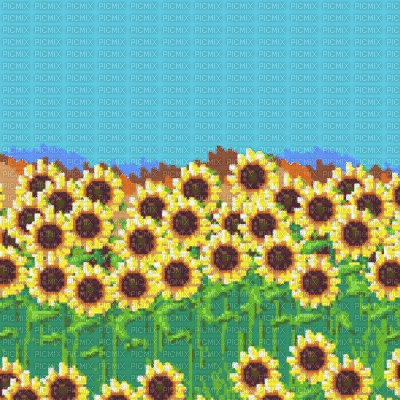 Sunflowers - GIF animado gratis