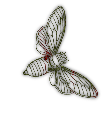 papillon.Cheyenne63 - png gratuito