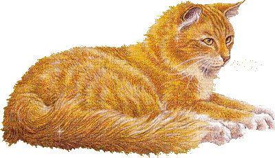 red hair cat glitter gif chat rouge - GIF animasi gratis