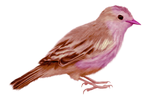 kikkapink bird purple fantasy scrap - bezmaksas png