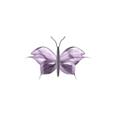Tube Scrap-Décoration papillon - png gratis