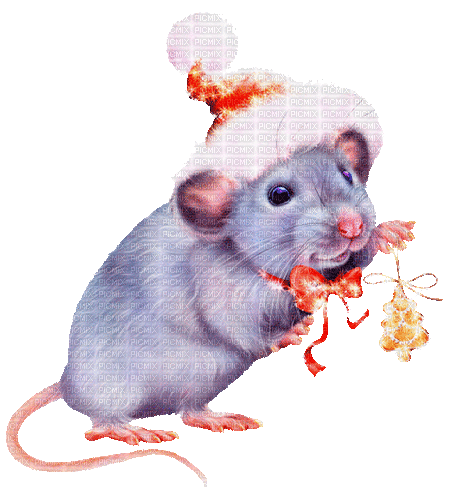 christmas mouse by nataliplus - Animovaný GIF zadarmo