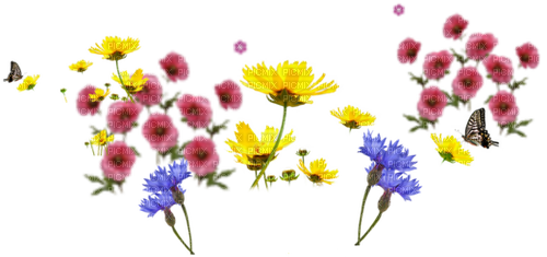 Blumen - png gratis
