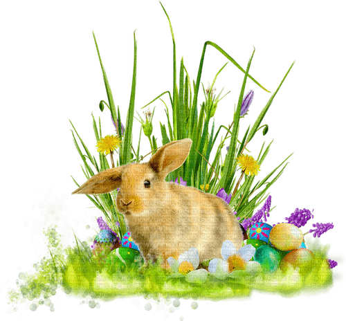 Cluster.Easter.Rabbit.Grass.Flowers.Eggs - Free PNG