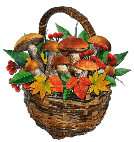 basket mushrooms by nataliplus - PNG gratuit