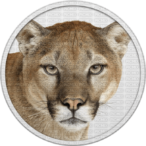 Kaz_Creations Animals Lion - bezmaksas png