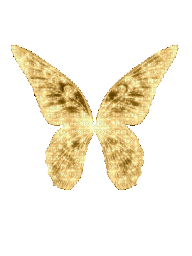 VanessaVallo _crea- gold fairy wings animated - Ücretsiz animasyonlu GIF